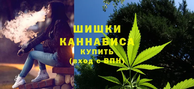 Каннабис SATIVA & INDICA  где купить   Волосово 